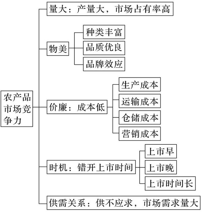 考地理 二轮微专题22 市场竞争力j9九游会(中国)网站2025高(图10)